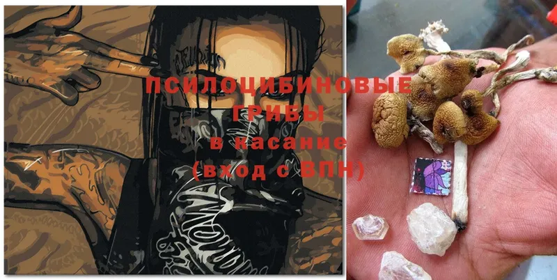 купить наркотик  Сыктывкар  Галлюциногенные грибы MAGIC MUSHROOMS 